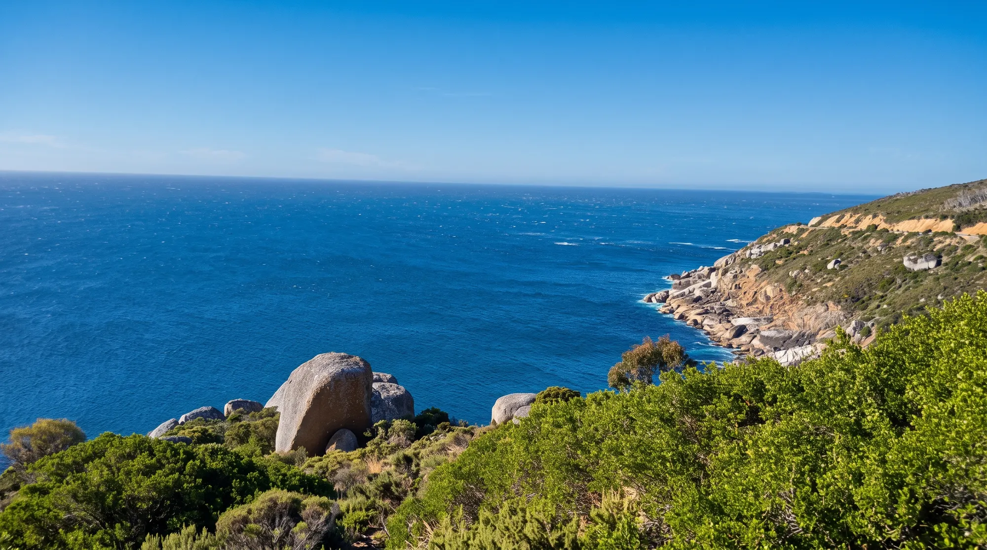 Deep blue ocean beyond fynbos and boulders